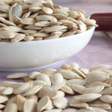 China wholesale rawmarket price specification hybrid pumpkin seeds